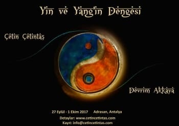 yin-yang-adrasan
